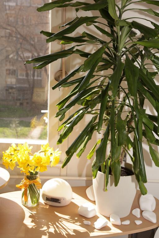 Apartment Spacious Liman Νόβι Σαντ Εξωτερικό φωτογραφία